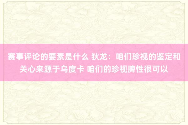 赛事评论的要素是什么 狄龙：咱们珍视的鉴定和关心来源于乌度卡 咱们的珍视脾性很可以