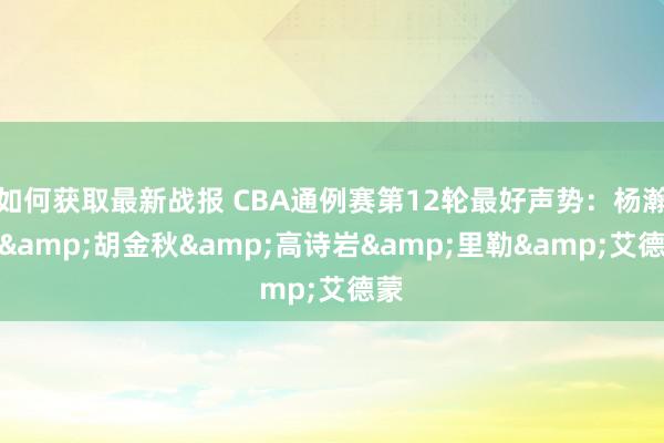 如何获取最新战报 CBA通例赛第12轮最好声势：杨瀚森&胡金秋&高诗岩&里勒&艾德蒙