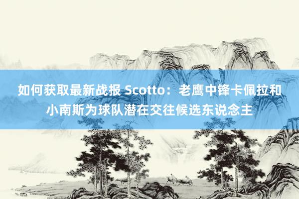 如何获取最新战报 Scotto：老鹰中锋卡佩拉和小南斯为球队潜在交往候选东说念主